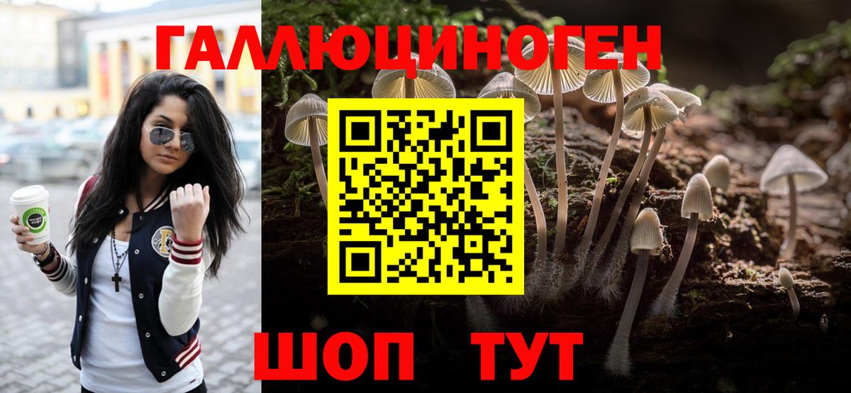 Псилоцибиновые грибы MAGIC MUSHROOMS Самара